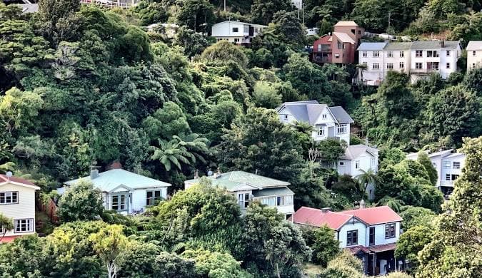 House Movers Karori
