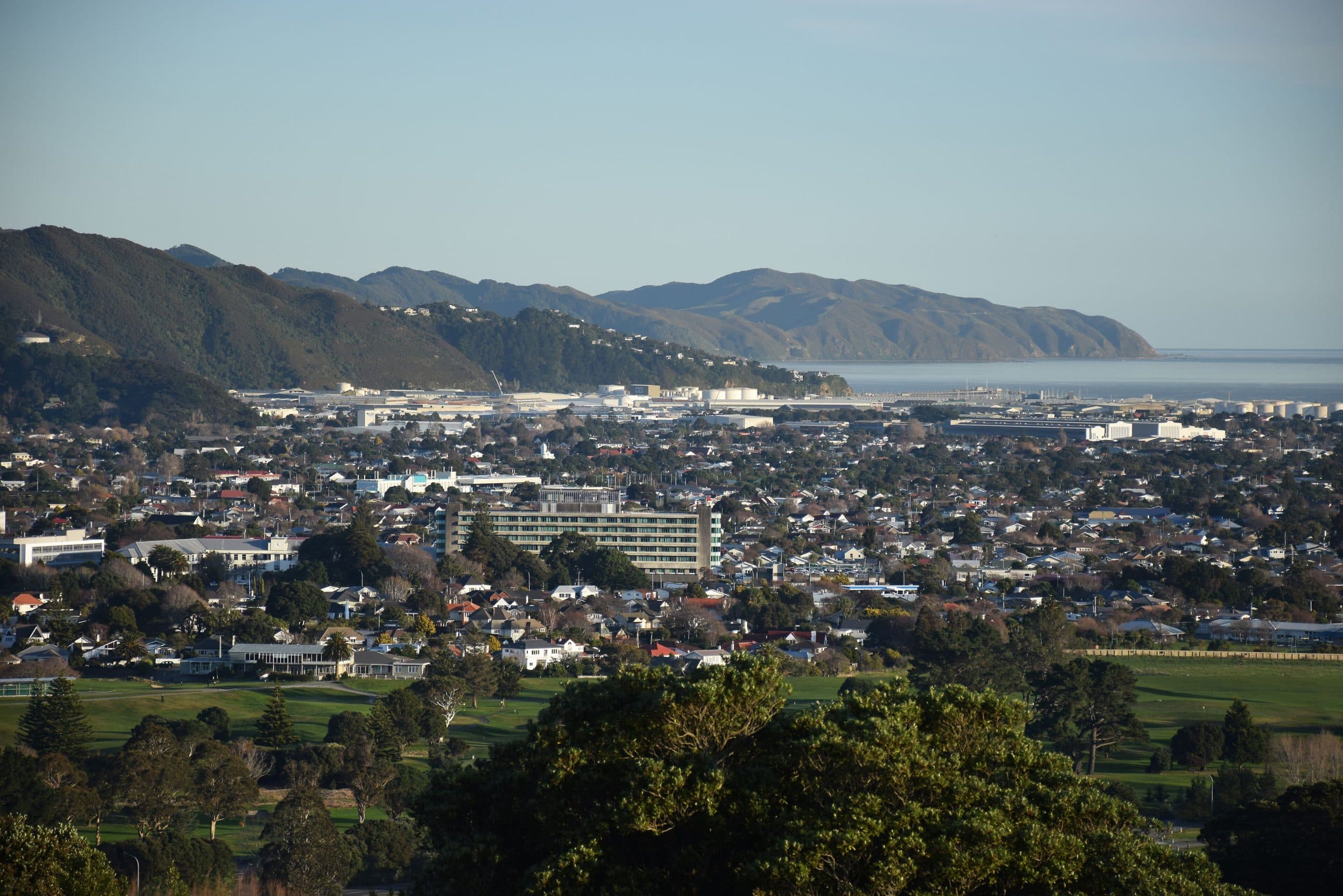 House Movers Petone